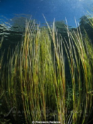 Capodacqua's colors. by Francesco Pacienza 